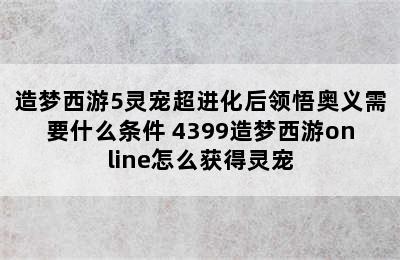 造梦西游5灵宠超进化后领悟奥义需要什么条件 4399造梦西游online怎么获得灵宠